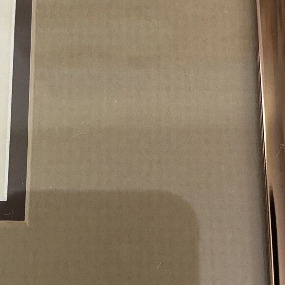 Mel Fleck Spanish Hogfish Art Signed Framed Original Print 8 of 150‎ 3 D Collage - Picture 11 of 16